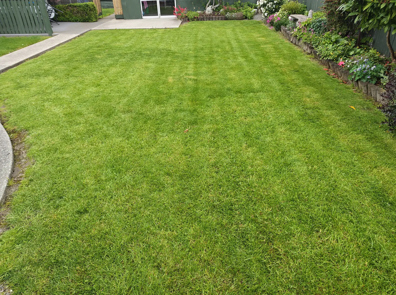 Freshly mown back lawn with light stripes, a paved path and flower borders along the fence